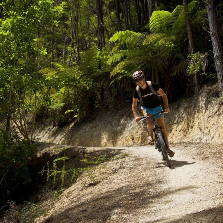 Kaiteriteri Mountain Bike Trail