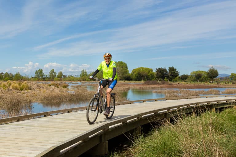 Rabbit Island Cycling