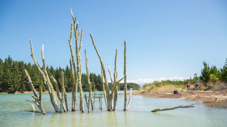 Wheelie-Fantastic-Lagoon-at-Rabbit-Island_Square