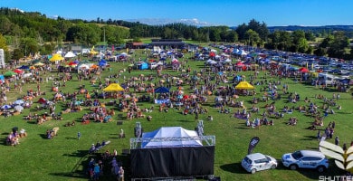 nelson festival | Summer and Autumn