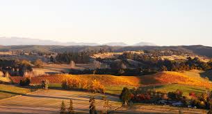 Moutere landscape - an Autumn Evening. Real New Zealand countryside