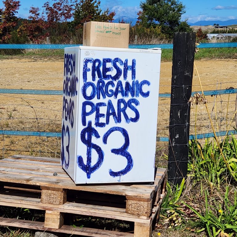 A roadside honesty stall on the Great Taste Trail .selling organic pears as well as pears for free