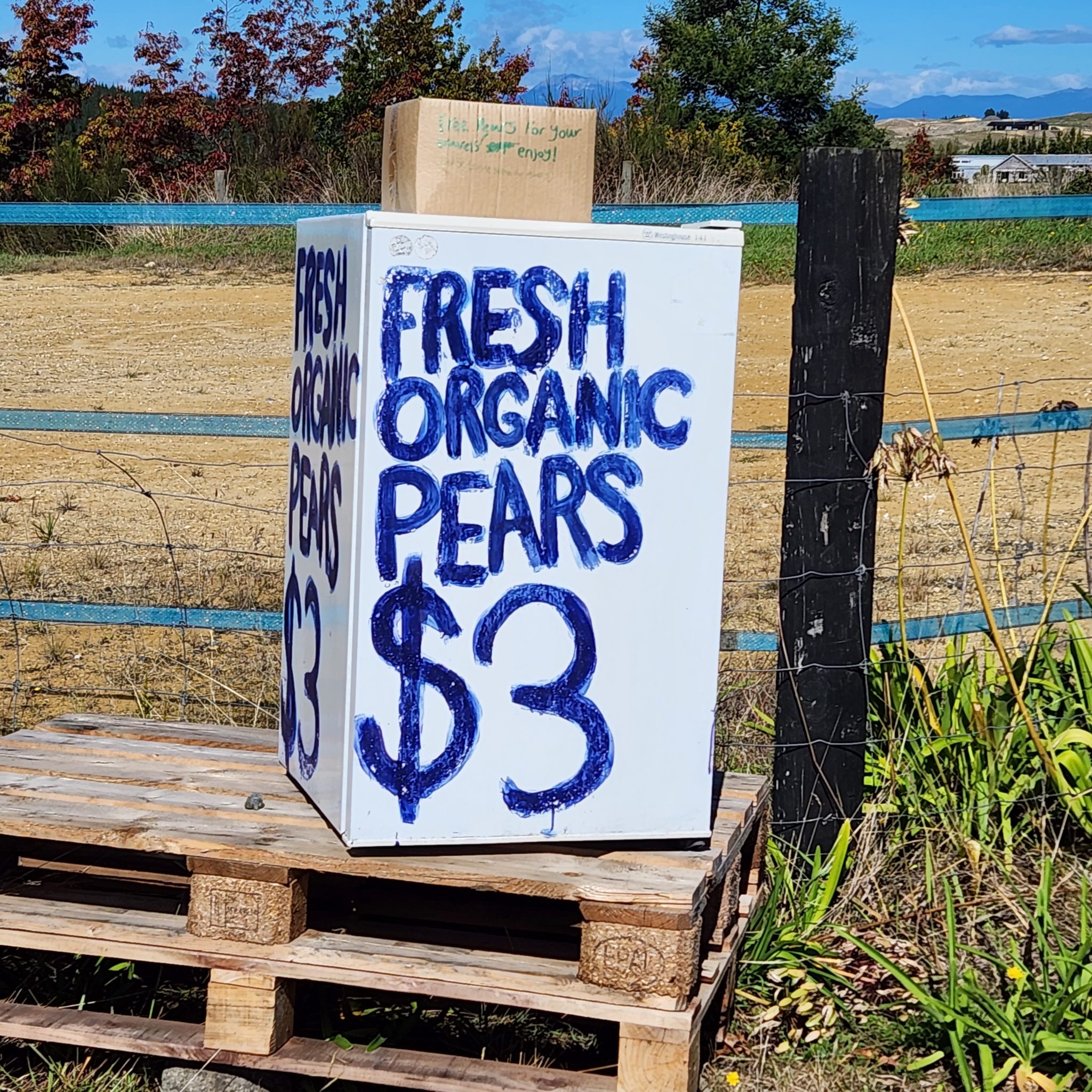 A roadside honesty stall on the Great Taste Trail .selling organic pears as well as pears for free